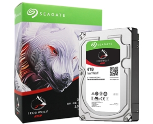 希捷（SEAGATE）酷狼NAS硬盤 6T 網(wǎng)絡(luò)云存儲陣列機械硬盤