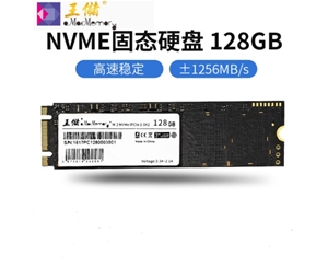 王儲(chǔ)（X2513） 128G固態(tài)硬盤(pán) M.2接口 NVMe協(xié)議 PCIe 2280筆記本臺(tái)式機(jī)通用【NVMe協(xié)議 2280】