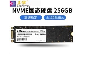 王儲(chǔ)（X2513）256G固態(tài)硬盤(pán) M.2接口 NVMe協(xié)議 PCIe 2280筆記本臺(tái)式機(jī)通用【NVMe協(xié)議 2280】