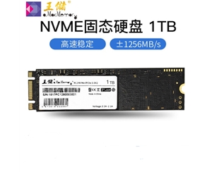 王儲(chǔ)（X2513）1TB固態(tài)硬盤(pán) M.2接口 NVMe協(xié)議 PCIe 2280筆記本臺(tái)式機(jī)通用【NVMe協(xié)議 2280】