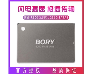 BORY博睿 R500 2.5英寸 256G SATA3 臺式機 筆記本 SSD 固態(tài)硬盤