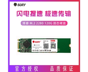 BORY博睿 M.2 2280 120G固態(tài)硬盤SATA3